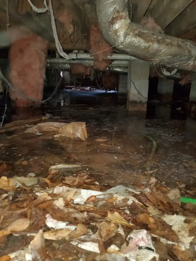 Crawl space flood assessment for Leak Detection & Repair in Hidden Valley